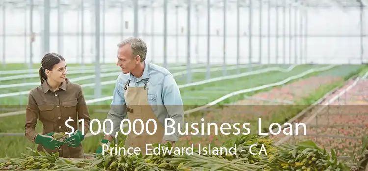 $100,000 Business Loan Prince Edward Island - CA