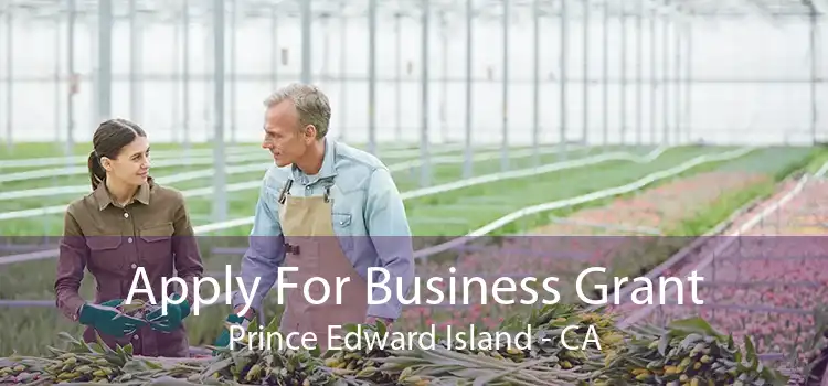 Apply For Business Grant Prince Edward Island - CA